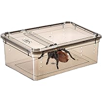 Amazon.co.jp: 飼育ボックス、耐摩耗性と耐久性があり、変形や